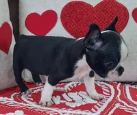 processed/d90fffab-aaaf-4365-9fa1-00acb8f966b9/listing/4bd27643-580f-4bf3-b03b-b68cad51eee3/deac2e38-5649-476a-a69b-71fcc45022f2