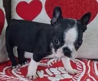 processed/d90fffab-aaaf-4365-9fa1-00acb8f966b9/listing/4bd27643-580f-4bf3-b03b-b68cad51eee3/e4240541-d173-4df2-9b6b-f315f179d85a