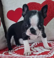 processed/d90fffab-aaaf-4365-9fa1-00acb8f966b9/listing/4bd27643-580f-4bf3-b03b-b68cad51eee3/f5fecd53-b1d2-4bff-80db-8bc73b03790c