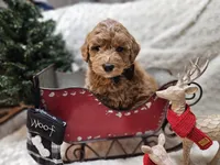 processed/d92316f9-b7c7-4cf5-bf05-3306d5cf98f5/listing/d5bdff63-f8ff-443f-b764-bec35ff992ac/9bbf3e0c-4f47-45f4-a0cd-1fb8170a0ef2