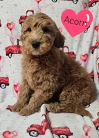 processed/d92316f9-b7c7-4cf5-bf05-3306d5cf98f5/listing/d5bdff63-f8ff-443f-b764-bec35ff992ac/ba4c344c-86fb-4c25-bcea-c357d74a8158