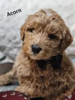 processed/d92316f9-b7c7-4cf5-bf05-3306d5cf98f5/listing/d5bdff63-f8ff-443f-b764-bec35ff992ac/e1852b56-2440-45cc-9463-977e3333e9a8