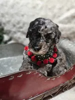 processed/d92316f9-b7c7-4cf5-bf05-3306d5cf98f5/listing/f9e9c52d-a8e2-4924-b9b0-6e5827753cc5/581393a5-8547-4d45-99e0-5899a5c468fa