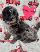 processed/d92316f9-b7c7-4cf5-bf05-3306d5cf98f5/listing/f9e9c52d-a8e2-4924-b9b0-6e5827753cc5/a70ee243-4507-4311-9736-ed74d9358188