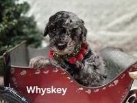 processed/d92316f9-b7c7-4cf5-bf05-3306d5cf98f5/listing/f9e9c52d-a8e2-4924-b9b0-6e5827753cc5/cb9aa925-bdf7-4875-ba70-d5767834cdf3