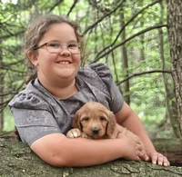 Meadow, a female Goldendoodle for sale in Lewisburg, PA – Photo 5 of 6