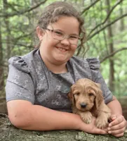 Meadow, a female Goldendoodle for sale in Lewisburg, PA – Photo 6 of 6