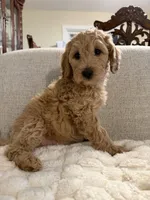 processed/d92aba1a-a08d-4814-9246-6bb3586ba28f/listing/a04c3555-8ade-4d82-b06d-bbdc3b42a834/780e3aca-5763-4f13-8950-cedf0a66dc4c