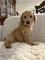 processed/d92aba1a-a08d-4814-9246-6bb3586ba28f/listing/a04c3555-8ade-4d82-b06d-bbdc3b42a834/fa140f3d-63a8-4d5f-99a0-3960d3604f4b