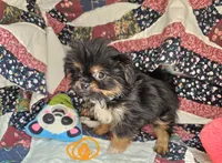 processed/d92bd119-dc7c-4020-b28a-cde1ef035d21/listing/31fa0d6d-3ca0-46f7-b8f7-26642e83a09b/5f58df02-04a2-4d46-b4ec-844e43787d30