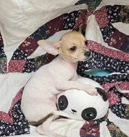 processed/d92bd119-dc7c-4020-b28a-cde1ef035d21/listing/3a266005-888d-4674-a49b-acf2295e426d/028d01ae-ec5e-40f3-b523-582d811c27b9