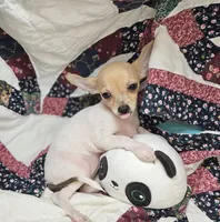 processed/d92bd119-dc7c-4020-b28a-cde1ef035d21/listing/3a266005-888d-4674-a49b-acf2295e426d/22217c9c-ad7e-4c36-9917-0c126ec7258a