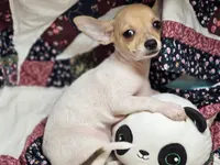 processed/d92bd119-dc7c-4020-b28a-cde1ef035d21/listing/3a266005-888d-4674-a49b-acf2295e426d/be2bc95c-23b0-4585-92ad-bb7f2c844c64