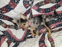 processed/d92bd119-dc7c-4020-b28a-cde1ef035d21/listing/bb95fe5d-5d07-4009-a5a6-5ee2fe376091/469aa413-8831-4447-b8f1-56187b034593