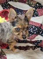 processed/d92bd119-dc7c-4020-b28a-cde1ef035d21/listing/bb95fe5d-5d07-4009-a5a6-5ee2fe376091/61332cf3-7658-43da-8195-56717f3b6a1d