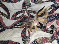 processed/d92bd119-dc7c-4020-b28a-cde1ef035d21/listing/bb95fe5d-5d07-4009-a5a6-5ee2fe376091/972261d4-8a17-4475-920d-989da57ce588