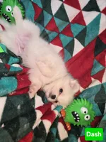 processed/d92bd119-dc7c-4020-b28a-cde1ef035d21/listing/d1dfded4-95b1-4de5-b690-0deae80cf7c8/35ba67ce-e1d6-4991-b21b-b13ba98d28ce