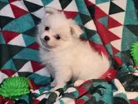 processed/d92bd119-dc7c-4020-b28a-cde1ef035d21/listing/d1dfded4-95b1-4de5-b690-0deae80cf7c8/e184b52b-33a2-4484-9d0e-627eb115e992