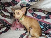 processed/d92bd119-dc7c-4020-b28a-cde1ef035d21/listing/ec6a7e1a-f758-4851-a2a0-e02bdc110161/607d0538-d335-440c-853b-995dbcbe7583