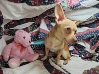 processed/d92bd119-dc7c-4020-b28a-cde1ef035d21/listing/ec6a7e1a-f758-4851-a2a0-e02bdc110161/ac02d973-e7d0-4d32-92bd-948d7dd50d0d