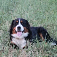 processed/d92d68f4-7369-427b-a288-686a30ff3b5d/facility/0ea58683-5f40-48d4-88cb-e923db52e5e2