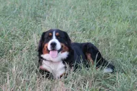 processed/d92d68f4-7369-427b-a288-686a30ff3b5d/facility/0ea58683-5f40-48d4-88cb-e923db52e5e2