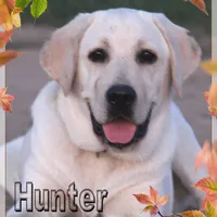 processed/d92d68f4-7369-427b-a288-686a30ff3b5d/facility/3703436d-b2bf-4b99-9cb4-4759a036b871