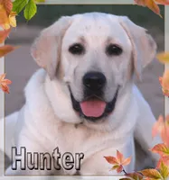 processed/d92d68f4-7369-427b-a288-686a30ff3b5d/facility/3703436d-b2bf-4b99-9cb4-4759a036b871