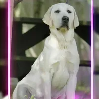 processed/d92d68f4-7369-427b-a288-686a30ff3b5d/facility/6de199f0-9812-4bbf-8fdf-07373b5f5f7e