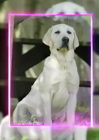 processed/d92d68f4-7369-427b-a288-686a30ff3b5d/facility/6de199f0-9812-4bbf-8fdf-07373b5f5f7e