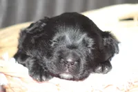 processed/d92d68f4-7369-427b-a288-686a30ff3b5d/listing/a799b2af-9814-4694-820f-aef6dde229b1/35a8a138-3671-4faf-8347-ff6b456f072b