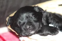 processed/d92d68f4-7369-427b-a288-686a30ff3b5d/listing/a799b2af-9814-4694-820f-aef6dde229b1/8975d8b9-0f0c-4874-a7e7-2fac3f4150c5