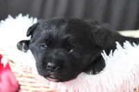 processed/d92d68f4-7369-427b-a288-686a30ff3b5d/listing/a799b2af-9814-4694-820f-aef6dde229b1/ce9bb5b3-5a7a-4371-902b-25e91aee5c75