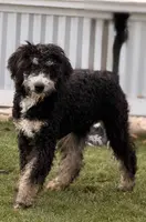 processed/d9344de7-ee59-4cb7-861e-8dc91c15ffde/listing/26de3c53-d820-4bcd-9e9d-600b1032f83d/18a21430-5c56-44ad-ac60-b9a6ffbadd21