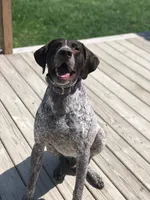 processed/d9371cc7-8b39-4e29-89da-da87a4764c50/facility/33b9de4f-16c2-4746-a17c-d16d8de98cf6