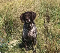 processed/d9371cc7-8b39-4e29-89da-da87a4764c50/facility/45f62e1a-318b-48a5-9fb1-da74dcbfb6dc