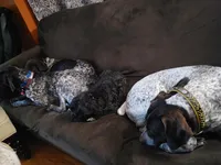 processed/d9371cc7-8b39-4e29-89da-da87a4764c50/facility/5ece9869-acca-4ee2-aa3a-3d48809794e4