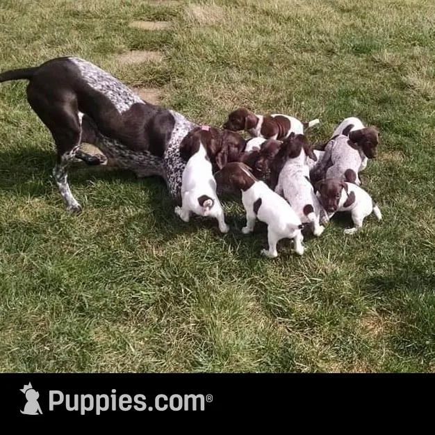 processed/d9371cc7-8b39-4e29-89da-da87a4764c50/facility/a11db84e-ce25-4efc-ab47-6546a954ef19