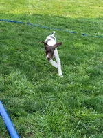 processed/d9371cc7-8b39-4e29-89da-da87a4764c50/facility/ff536c3b-5523-4210-a497-81efe7d2ccec