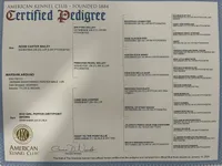 Zetta, a female German Shorthaired Pointer for sale in Gibsonburg, OH – Photo 4 of 6