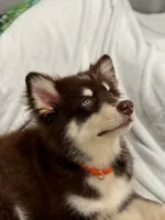 processed/d943a1b5-8e22-4193-8707-4e4be5bdd298/listing/710f690f-7bb6-40fe-80a4-6bfb6fa4fade/3b565fc3-d385-4cc8-90b7-f4caa160975a