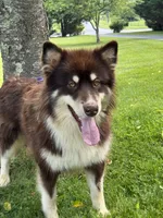 processed/d943a1b5-8e22-4193-8707-4e4be5bdd298/listing/710f690f-7bb6-40fe-80a4-6bfb6fa4fade/636b86ba-b956-4d84-8549-248d5910fb72