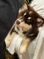 processed/d943a1b5-8e22-4193-8707-4e4be5bdd298/listing/710f690f-7bb6-40fe-80a4-6bfb6fa4fade/f1f18a50-32d1-4b49-8f94-968ce6ecf6fd