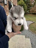 processed/d943a1b5-8e22-4193-8707-4e4be5bdd298/listing/a9f66eb3-eb14-4ebc-83d7-73ad54ef07ae/b9aa48c5-a2bd-47c7-ba66-0357912ee44b