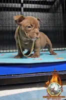 processed/d94487c8-86e9-4d9e-b6a6-e3e543916486/listing/b4d3b7e0-58b6-4c7b-96ec-b1bf8f67168b/864ae849-a263-4aef-ac0f-1e617fdb6dde