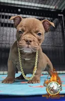 processed/d94487c8-86e9-4d9e-b6a6-e3e543916486/listing/b4d3b7e0-58b6-4c7b-96ec-b1bf8f67168b/e5b60ea0-579c-4bf7-87c4-f4a220061871