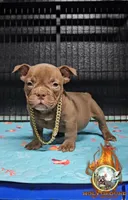 processed/d94487c8-86e9-4d9e-b6a6-e3e543916486/listing/b4d3b7e0-58b6-4c7b-96ec-b1bf8f67168b/fd9391cc-db4d-4563-86ca-e5b1de66aa1a