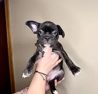 processed/d94eae4f-195d-4250-9e53-1ce2d33213a1/listing/efff6c7f-7000-420c-a83b-9fceb14f71fb/013851c1-cb49-4ecc-899a-ddc4a0d08871