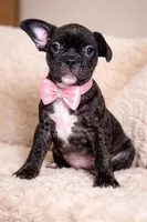 processed/d94eae4f-195d-4250-9e53-1ce2d33213a1/listing/efff6c7f-7000-420c-a83b-9fceb14f71fb/07cffc3e-95e2-44d3-a7a5-4e814fb2206e