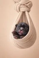 processed/d94eae4f-195d-4250-9e53-1ce2d33213a1/listing/efff6c7f-7000-420c-a83b-9fceb14f71fb/7a80b438-92f6-410d-ab91-6e3aaac31e2e